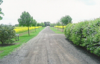 Approach From Driveway