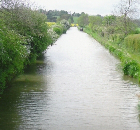 View From Bridge